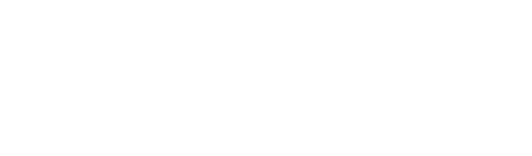 Brooklyn Book Doctor